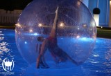 img_4061