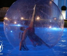 img_4061