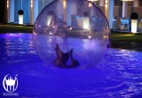 img_4062