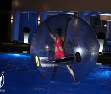 img_4065