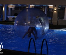 img_4067