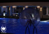 img_4069