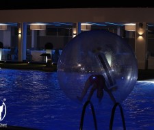 img_4069